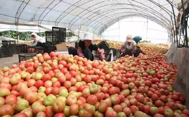 整頓大棚房成了一刀切的代名詞,斷水斷電磚瓦不留,拆成了荒蕪!