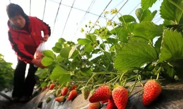 整頓大棚房成了一刀切的代名詞,斷水斷電磚瓦不留,拆成了荒蕪!