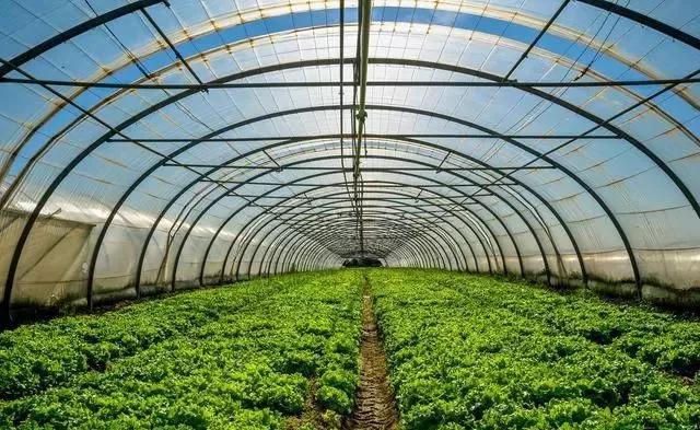 整頓大棚房成了一刀切的代名詞,斷水斷電磚瓦不留,拆成了荒蕪!