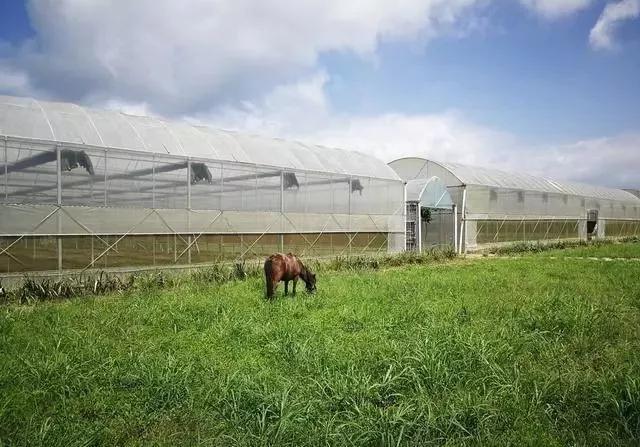 整頓大棚房成了一刀切的代名詞,斷水斷電磚瓦不留,拆成了荒蕪!